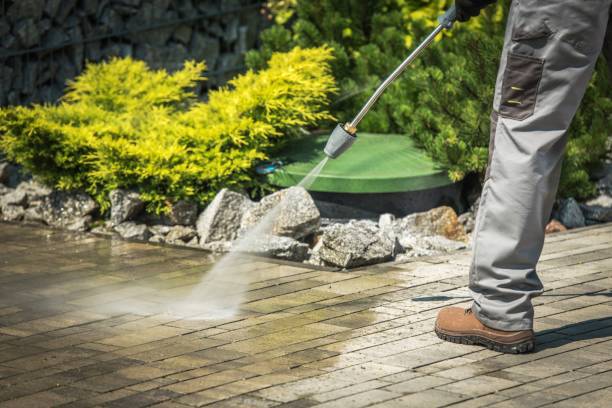 Best Solar Panel Cleaning  in Flatwoods, KY