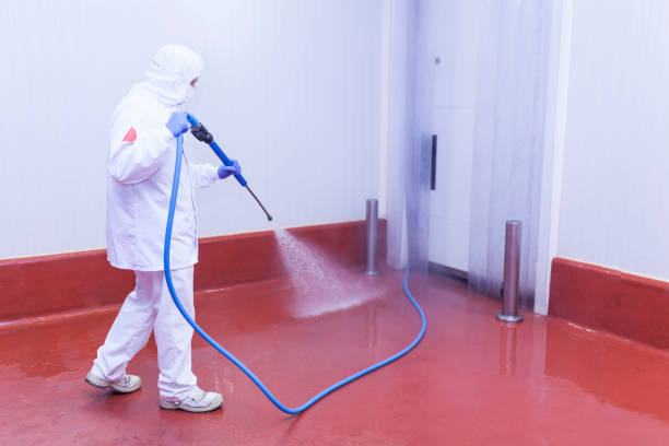 Best Winterizing Services  in Flatwoods, KY